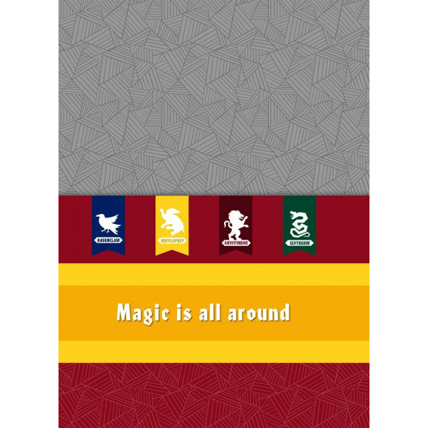 Caderno Universitário Harry Potter - 10 Matérias - Jandaia